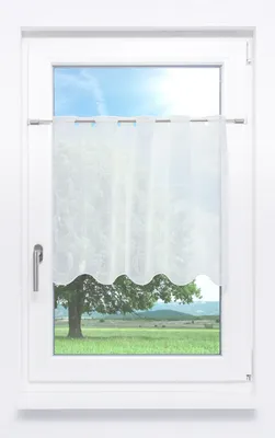 Produktbild von Scheibengardine Plauener Spitze - Zyla  (Bx H) 48cm * 55cm weiß/Rohweiß