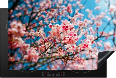 Produktbild von KitchenYeah© Herdabdeckplatte Frühling - Sakura - Rosa , 80x52cm, Küche Deko, Glaskeramikkochfeld Herdabdeckung, Abdeckplatte fùr Kochfeld