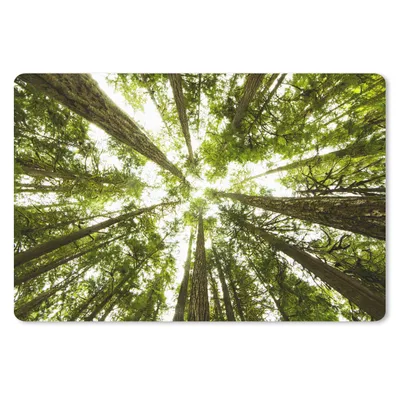 Produktbild von MuchoWow® Schreibtischunterlage Hohe grüne Bäume im Dschungel 60x40 cm - XXL Mauspad - Großes Mauspad