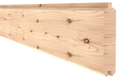 Produktbild von Bohle Osmo für Schallschutzzaun Forsdal 28 2,8 x 14,5 x 205 cm lärche