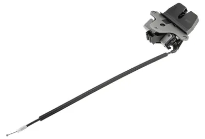 Produktbild von NTY EZC-LR-035 Türschloss für LAND ROVER Range Rover Evoque (L538) RANGE ROVER EVOQUE VAN (L538)