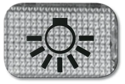 Immagine prodotto di Simbolo dell'interruttore BUSCH-JAEGER Simbolo dell'interruttore della luce