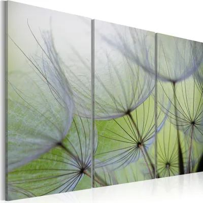 Produktbild von Modernes Wandbild 030210- 134 (120x80) - 3 Teilig Bilder Fotografie auf Vlies Leinwand Foto Bild Dekoration Wand Bilder Kunstdruck Natur Blumen