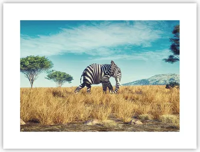 Produktbild von Poster - Poster ohne Rahmen - Surreal Elefant Rippen - 40x30 cm - Wand Bild - Wanddeko - Wandbilder - Kunstposter - Wandposter - Bilder - Kunstdruck - Wanddekoration - Wandbild - P2XAA40x30-4717