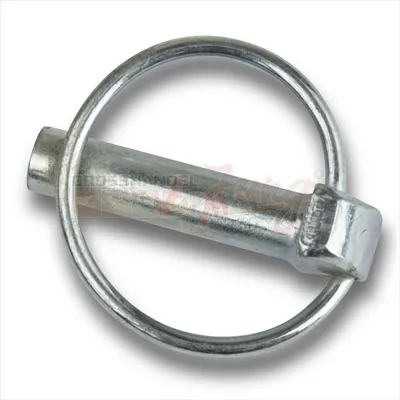 Produktbild von Klappstecker 11 x 36,5 mm