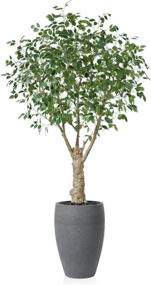Produktbild von Fopamtri Künstlicher Baum im Blumentopf 240 cm realistisch groß 23 kg in dem Topf