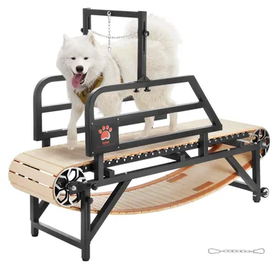 Image de Tapis de course pour chiens - Appareil de course pour chiens - Tapis de course pour animaux de compagnie - Tapis de course d'intérieur pour chiens - Appareil d'entraînement pour chiens