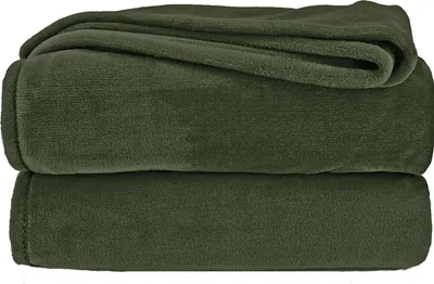 Produktbild von heimtexland ® Kuscheldecke SUPER SOFT Wohndecke Uni Flanell  Decke XXL Pärchen Sofadecke Typ380 Oliv 240 x 220 cm