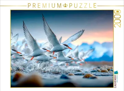 Produktbild von CALVENDO Puzzle Flug an die Küste | 2000 Teile Lege-Größe 90x67cm Foto-Puzzle für glückliche Stunden