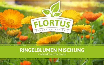 Produktbild von Ringelblumen Mischung | Blumenwiese von FLORTUS, Menge:100 g
