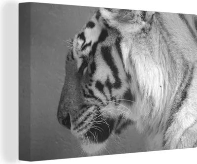 Obrázek produktu pro OneMillionCanvasses® - Obrazy na plátně - 140x90 cm, Tygr - Zvířata - Černá - Bílá, Nástěnné umění Vytisknout Nástěnná dekorace