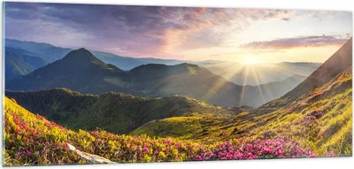 Produktbild von Bilder auf glas - Gebirge Wiese Landschaft Wald - 100x40cm - Glasbilder - Wandbilder - Kunstdruck - zum Aufhängen bereit - Wanddekoration aus Glas - Glas Bilder - Wandbild auf Glas - GAB100x40-3152