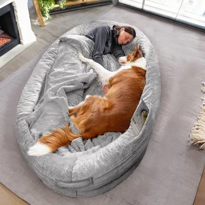 Immagine prodotto di Letto per cani di taglia grande | Comodo letto per cani, ideale sia per le persone che per gli animali domestici | Con coperta e rivestimento sfoderabile | Grigio chiaro