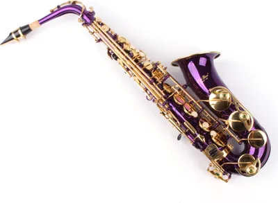 Produktbild von Karl Glaser Eb (Es) Alt Saxophon mit Koffer Mundstück & Blättchen violett