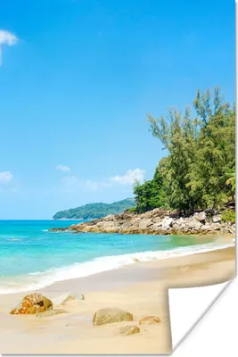 Produktbild von MuchoWow® Poster Strand - Meer - Pflanzen - Tropisch 120x180 cm - Kunstposter