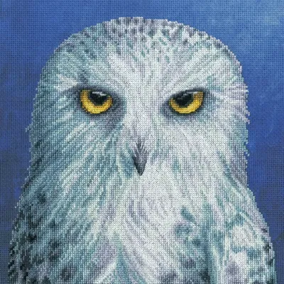 Produktbild von Bothy Threads gezählter Kreuzstich Kit "La Ménagerie: Sagesse", XRF12, 26x26cm, DIY