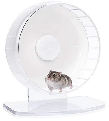 Produktbild von Famanu Hamsterlaufrad mit verstellbarem Ständer - für kleine Tiere