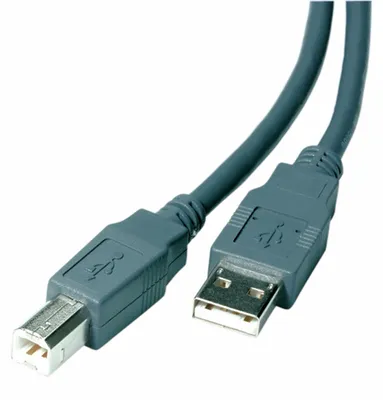 Image de VIVanco™Câble USB Type A vers USB Type B