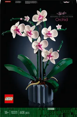 Produktbild von LEGO 10311 Icons Orchidee Set zum Basteln von künstlichen Pflanzen