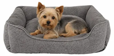 Immagine prodotto di divano per cani lionto, letto moderno per cani con fondo antiscivolo, sfoderabile e interno in peluche, 75x60 cm, grigio
