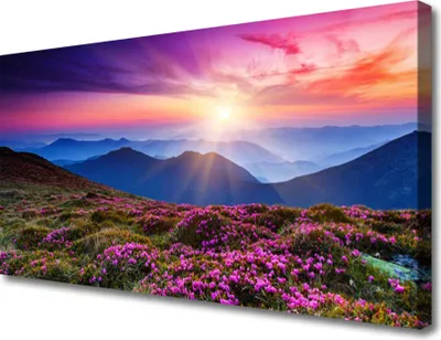 Produktbild von Tulup Leinwand-Bilder 100x50 Wandbild Canvas Kunstdruck Gebirge Wiese Blume Landschaft