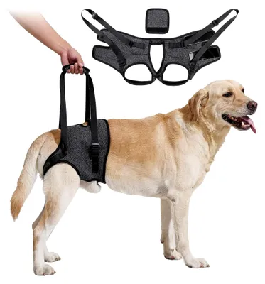Produktbild von Tragehilfe mit Handgriff für Hinterbeine - Geschirr für kleine, mittlere und große Hunde - Tragegurt für Assistenzhunde