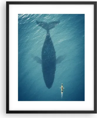 Produktbild von Gerahmtes Poster - Schwarzer Rahmen - Buckelwal Ozean Wal - 40x50 cm - Wand Bild - Wanddeko - Wandbilder - Kunstposter - Wandposter - Bilderrahmen - Bilder - Kunstdruck - P2BPA40x50-5174