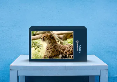 Produktbild von hansepuzzle 80747 - Gepard Puzzle, 1000 Teile, Natur, 60,0 x 46,0cm mit hochwertiger Aufbewahrung, Kartonbox und wiederverschließbarem Beutel