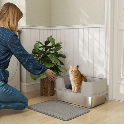 Produktbild von Sweiko Katzentoilette Edelstahl Offene Katzenklo mit Schaufel hohem Rand Matte für Katzen bis 7 kg 60,2 x 40,2 x 29,5 cm, Grau