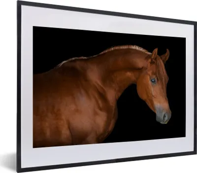 Produktbild von MuchoWow® MuchoWow® Gerahmtes Poster Pferd - Schwarz - Braun 40x30 cm - Poster mit zchwarzem Bilderrahmen - Bilderrahmen - Poster im Rahmen