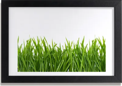 Produktbild von Bild 30x20 MDF-Rahmen, Wandkunst Gras