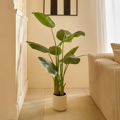 Obrázok produktu pre Eazy Living, umelá rastlina, banánovník, výška 140 cm