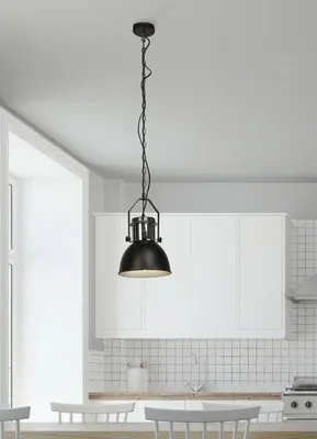 Produktbild von Pendelleuchte 1-flammig Ø 23 cm schwarz/chrom