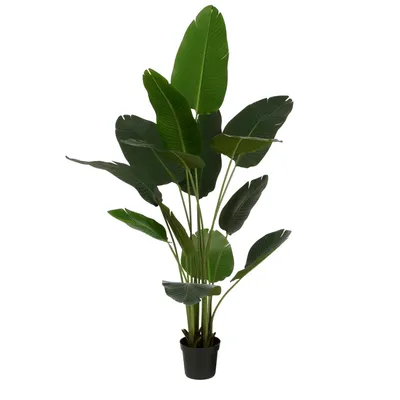 Image de Mica Decorations Plante artificielle Bananenboom - 30x30x180 cm - Polypropylène - Vert