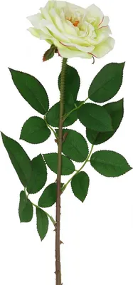 Produktbild von Kunstrose für dekorative Arrangements und kreative Floristik