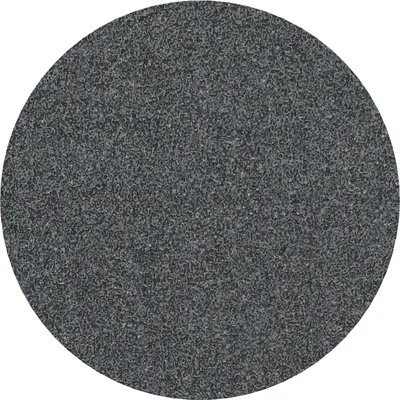 Image de PRO F355 Feuille abrasive, 125 mm, G60, 10 pcs.