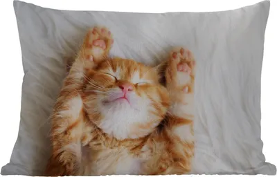 Produktbild von MuchoWow® Outdoor Kissen - Katze - Rot - Haustiere - Kätzchen - 60x40 cm - Wetterfest - Lounge Kissen - Zierkissen - Kissen für Innenräume