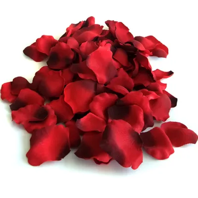 Produktbild von 100 Stück künstliche Rosenblätter in verschiedenen Farben, Farbe wählen:rot