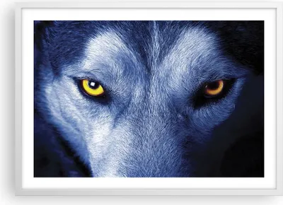 Produktbild von Gerahmtes Poster - Weißer Rahmen - Schau der Wolf Augen - 70x50 cm - Wand Bild - Wanddeko - Wandbilder - Kunstposter - Wandposter - Bilderrahmen - Bilder - Kunstdruck - P2WAA70x50-4587