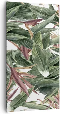Produktbild von Bild auf Leinwand - Leinwandbild - Pflanze Blatt Blume - 65x120cm - Wand Bild - Wanddeko - Leinwanddruck - Bilder - Kunstdruck - Wanddekoration - Leinwand bilder - Wandkunst - PA65x120-3844