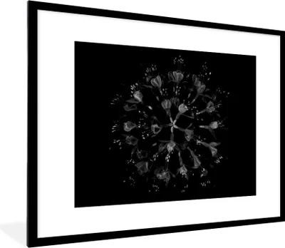 Produktbild von MuchoWow® Gerahmtes Poster Blume - Lila - Blau - Makro - Schwarz 80x60 cm - Poster mit Schwarzem Bilderrahmen Wandposter Rahmen Foto Bilder - Schlafzimmer-Dekorationen - Fotoposter
