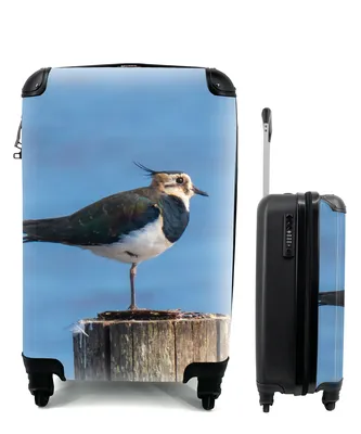 Produktbild von MuchoWow® Koffer Handgepäck Trolley Rollkoffer Kleine Reisekoffer mit 4 Rollen - Vogel - Tiere - Pfahl - Blau - Kiebitz - Cabin Size < 55x40x23 cm & 55x40x20 cm - Fotokoffer - Kabinenkoffer - Boardgepäck - Reise-Box - Reisekoffer - Reisegepäck - Koffer mit Bild - Trolley für Kinder
