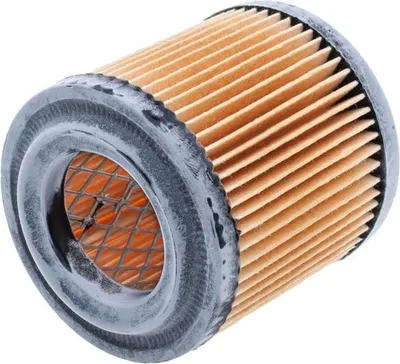 Zdjęcie produktu dla Filtr powietrza AS-Motor 8R05-05