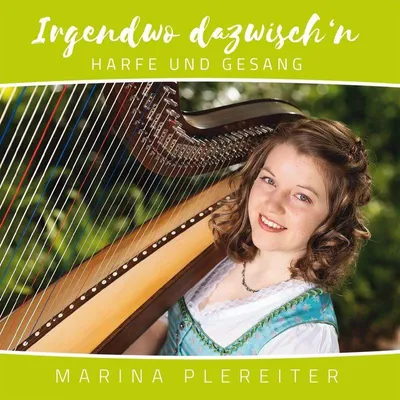 Produktbild von Plereiter, M: Irgendwo dazwisch'n
