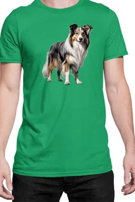Produktbild von Herren T-Shirt Dogs Breeds Collie Dog Breed 006, Man L / Grün