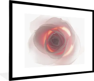 Produktbild von MuchoWow® MuchoWow® Gerahmtes Poster Nahaufnahme einer rosa Rose 80x60 cm - Poster mit zchwarzem Bilderrahmen - Schlafzimmer-Dekorationen - Fotoposter