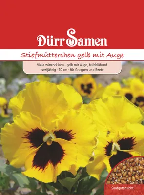 Produktbild von Stiefmütterchen gelb mit Auge | Stiefmütterchensamen von Dürr Samen