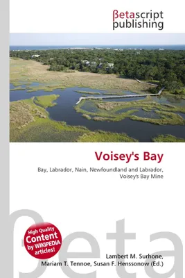 Produktbild von Voisey's Bay
