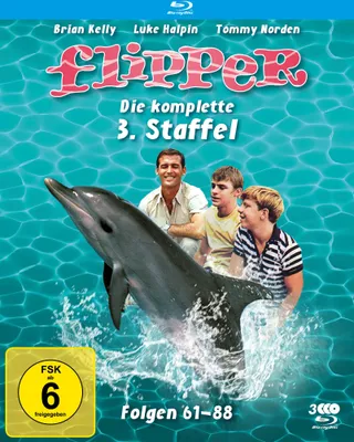 Produktbild von Flipper