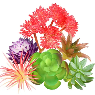 Image de Succulentes artificielles, lot de 6, petites succulentes artificielles, succulentes décoratives colorées pour le bureau, le salon et le jardin.